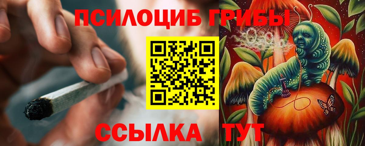 Галлюциногенные грибы Cubensis  Галлюциногенные грибы Psilocybe  Вход с VPN  Удомля 